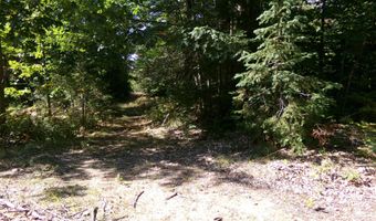 V/L 30AC Lake Winyah Road, Alpena, MI 49707