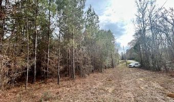 SE Lee Drive, Bogue Chitto, MS 39629