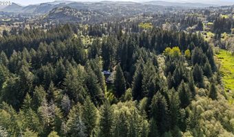 39402 NE 211TH Ave, Amboy, WA 98601