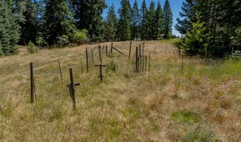 1251 CANYON Rd, Appleton, WA 98602