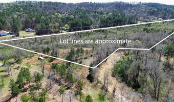 0 Hwy 23, Ashville, AL 35953
