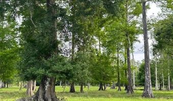 Tbd CORKWOOD LANE, Astatula, FL 34705