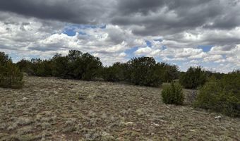 214 CR 8051, Concho, AZ 85924