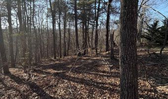OLD STONY RIDGE RD lot 7, Afton, VA 22920