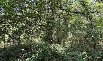 North Palestine Road, Baldwyn, MS 38824