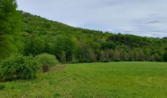 Upper Dingle Hill Road, Andes, NY 13731