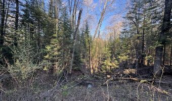 V/L Wildwood Road lot 1, Alger, MI 48610