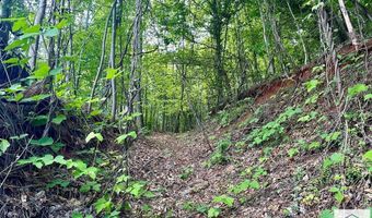 0 Sunset Dr, Bassett, VA 24055