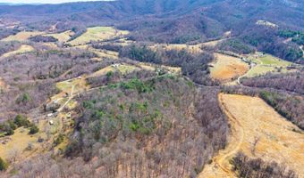 Puppy Creek, Amherst, VA 24521