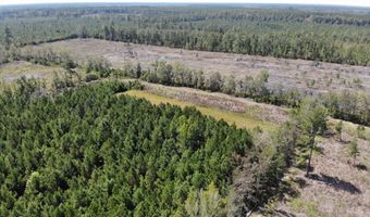 Old Buckhead Road, Bamberg, SC 29003