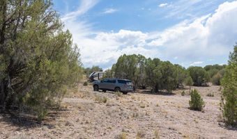 14 XX W BISON HUNT No Address Way 104, Chino Valley, AZ 86323