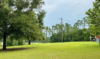 4689 NW 26th St, Bell, FL 32619