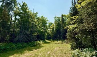 TBD Net River, Amasa, MI 49903
