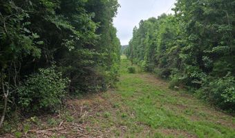 Lock 3 Road, Batesville, AR 72501