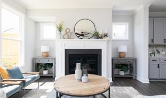 1009 Taylor Ct, Acworth, GA 30102