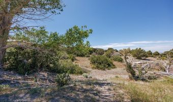 Sir Turner Drive APN # 095-01-711-034, Cold Creek, NV 89124