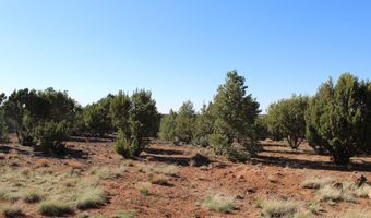 113 County Road 8092 Cedar, Concho, AZ 85924