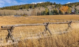 125 YELLOW ROSE Dr, Alta, WY 83414