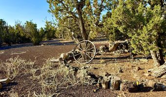 37 Co Rd N8174 10.1 Acres, Concho, AZ 85924