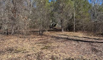 L21.1 Alder Pond Road, Andes, NY 13740