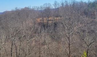 700 Acres Puncheon Creek Ln, Allred, TN 38542