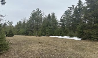 4200 Bloom Rd, Alpena, MI 49707