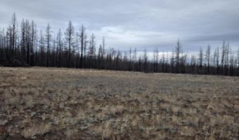 Bull Pine Road 173 Acres, Bly, OR 97622