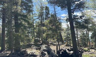 Lots 16 Lot17 Palo Flechado Ridge Road, Angel Fire, NM 87710