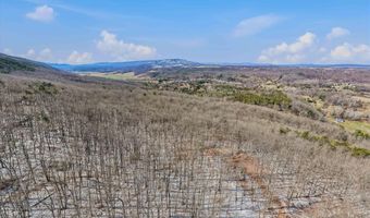 580 BRAEBURN Dr, Augusta, WV 26704