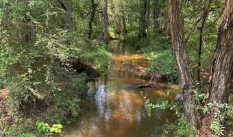 Luke Road lot 02, Ashburn, GA 31714