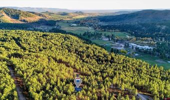 221 Deer Ridge Dr, Bayfield, CO 81122