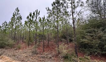 Tract # 6418 S Mattox Springs Road S4, Caryville, FL 32427