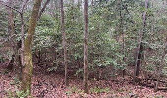 TBD County Road 86, Abbeville, AL 36310