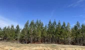 902 Old Glory Ln Lot 23, Brandon, MS 39047