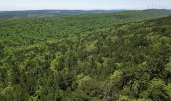 Tract 46 Trail Ridge Rd, Albion, OK 74571