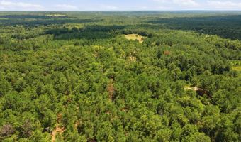 9191 Prestwood Bridge Rd, Andalusia, AL 36421