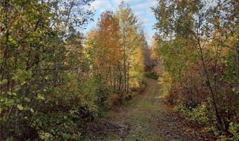 31538 County 23, Akeley, MN 56433