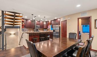 650 S Monarch St 4, Aspen, CO 81611