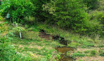 21814 State Hwy 248, Aurora, MO 65605
