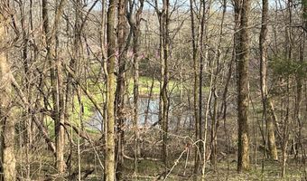 10515 Paw Paw Springs Rd, Arrington, TN 37014