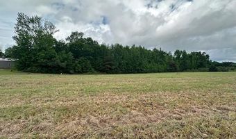 PEAR BLOSSOM Ln, Adamsville, TN 38310