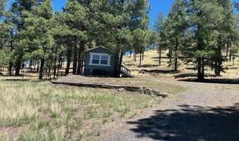450 County Road 2104, Alpine, AZ 85920