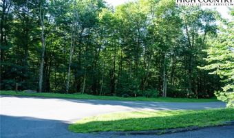 Tbd Tynecastle Drive, Banner Elk, NC 28604