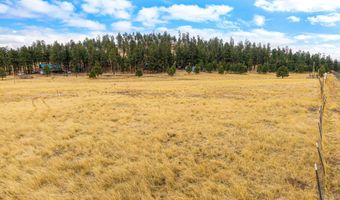 440 2104, Alpine, AZ 85920