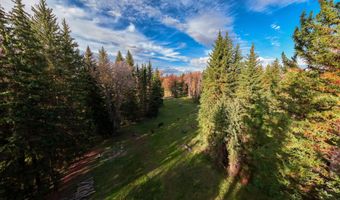 6600 N SNAKE RIVER WOODS Rd, Jackson, WY 83001