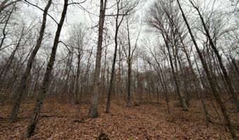 TBD1 E Willow Rd, Bloomfield, IN 47424