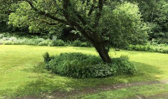 600 Bog Rd, Belvidere Center, VT 05442