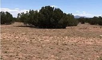 Lot 84 Juniperwood Ranch, Ash Fork, AZ 86320