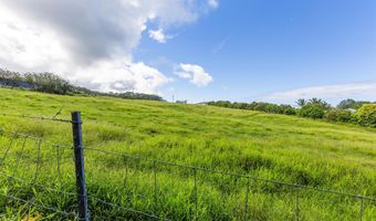 29-613 CHIN CHUCK Rd, Hakalau, HI 96710