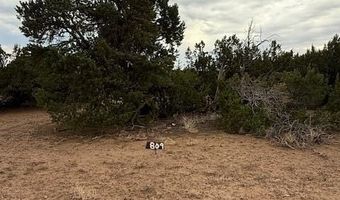 35 County Road 3044, Concho, AZ 85924